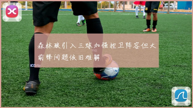 森林狼引入三球加强控卫阵容但大前锋问题依旧难解