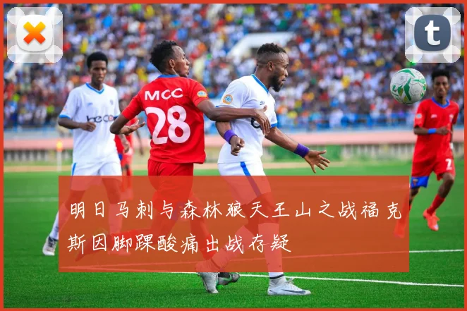 明日马刺与森林狼天王山之战福克斯因脚踝酸痛出战存疑