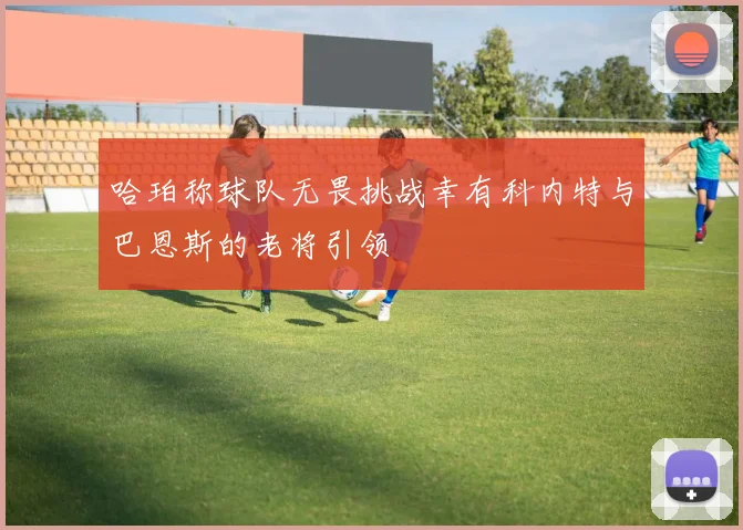 哈珀称球队无畏挑战幸有科内特与巴恩斯的老将引领