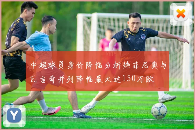 中超球员身价降幅分析热菲尼奥与瓦吉奇并列降幅最大达150万欧