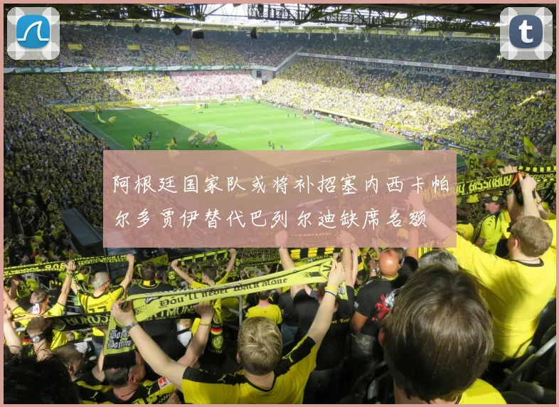 阿根廷国家队或将补招塞内西卡帕尔多贾伊替代巴列尔迪缺席名额